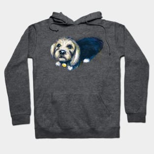 Puppy Dog Eyes Hoodie